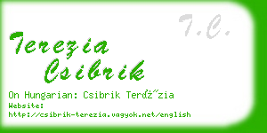 terezia csibrik business card